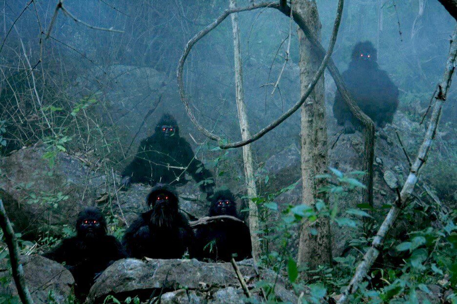 Fantasy films-Uncle Boonmee who can recall his past lives (2010)